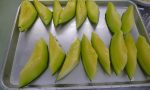 「初物　メロン🍈」