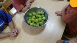 梅ジュース作り